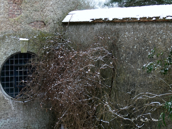 Bois des Moutiers Winterreise (47)